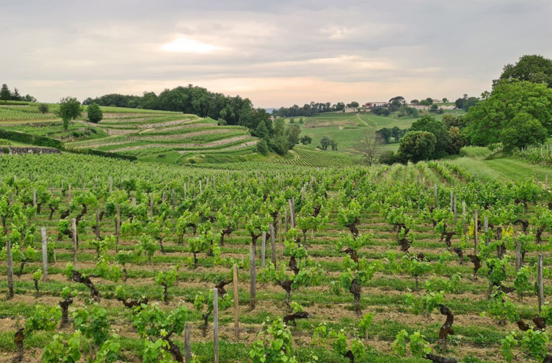 Véloce visite-velo-st-emilion-2